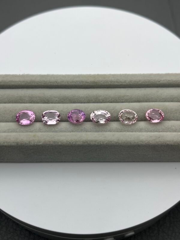 14.55ct Natural Pink Sapphire (H) 6pcs